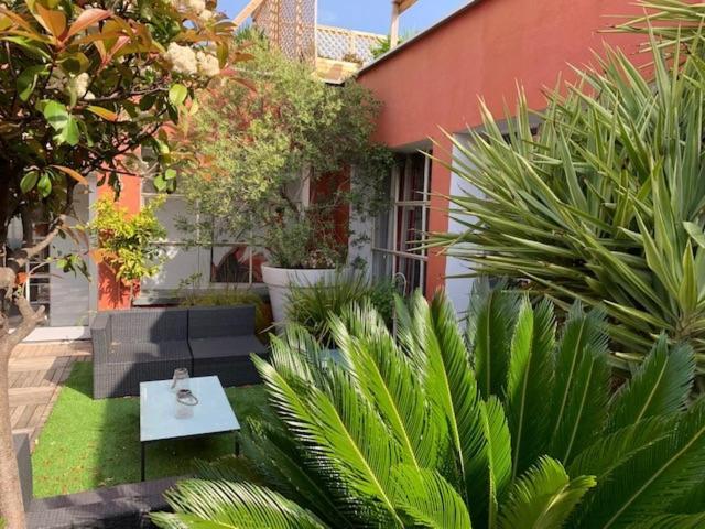 Le Patio Pere Pigne Guestroom 佩皮尼昂 外观 照片