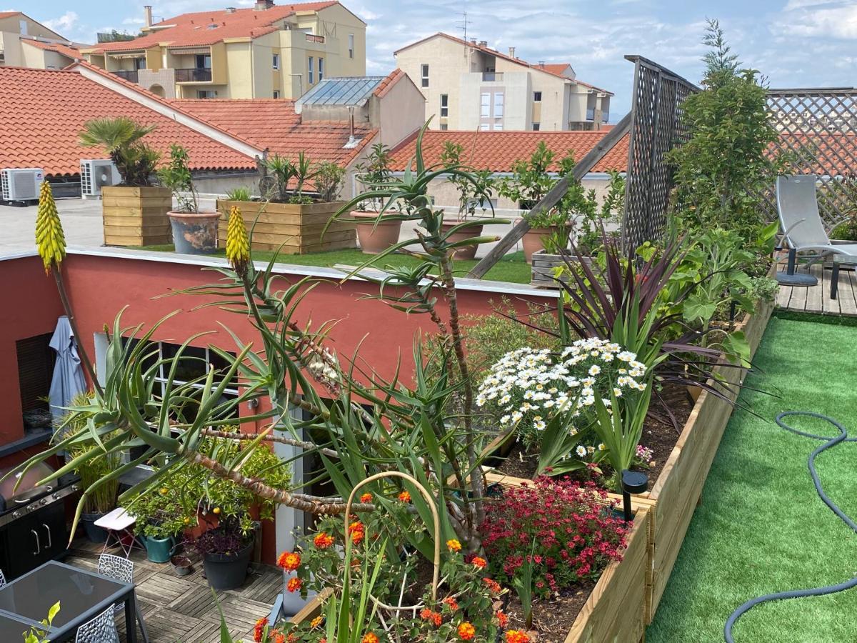 Le Patio Pere Pigne Guestroom 佩皮尼昂 外观 照片