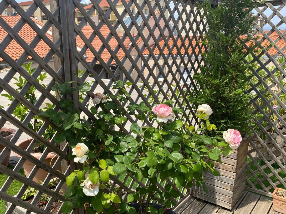 Le Patio Pere Pigne Guestroom 佩皮尼昂 外观 照片